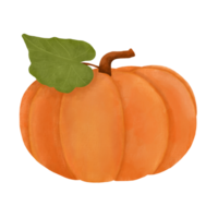 Pumpkin Illustration for Decoration and Halloween png