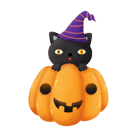 Halloween Jack Ö Laterne und Katze png