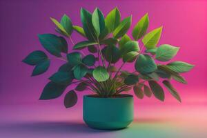 Flowers in a pot on a solid color background. ai generative photo