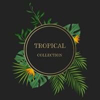 Vector banners with green tropical leaves, jungle. Exotic botanical suitable for posters, greeting cards, banners or,  invitations on a black background