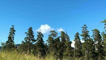 timelapse van de blauw lucht met wolken en mistig video