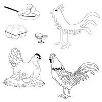 chicken with many types of eggs vector