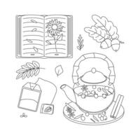 Acorn, book, leaves, tea. Hello autumn. Autumn season element, icon. Line art. vector