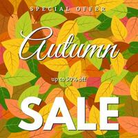 Autumn leaves and an inscription Autumn sale vector