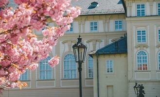 beautiful view of the city Prague photo