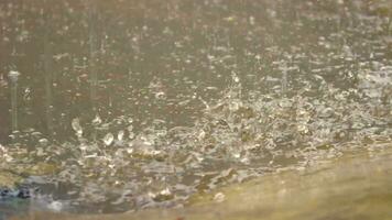 el gotas de lluvia goteo dentro el charco en frente de el casa video