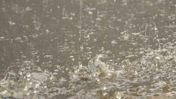 el gotas de lluvia goteo dentro el charco en frente de el casa video