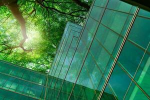 Eco-friendly building in the modern city. Green tree branches with leaves and sustainable glass building for reducing heat and carbon dioxide. Office building with green environment. Go green concept. photo