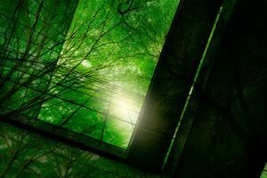 Eco-friendly building in the modern city. Green tree branches with leaves and sustainable glass building for reducing heat and carbon dioxide. Office building with green environment. Go green concept. photo