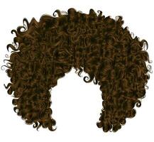 trendy curly dark brown  hair  . realistic  3d . spherical hairstyle . fashion beauty style . vector