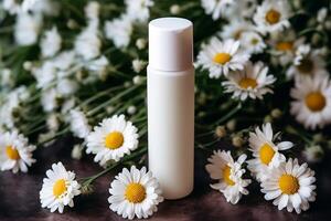 Mock-up tube of white cream in chamomile flowers. photo