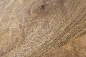 Brown oak texture with knot photo