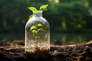 A tree sprout makes its way through a bottle on the ground. photo