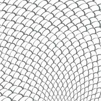 snake scales background vector