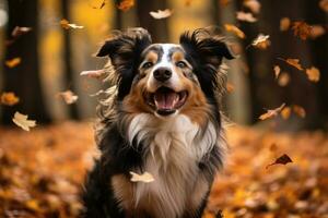 The border Collie dog is sitting in the autumn forest. Yellow leaves are flying from the tree. generated by artificial intelligence photo