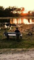 homem sentado em uma Banco de a lago às pôr do sol video