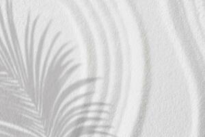 Zen garden,Sand texture with palm leaves shadow on spiritual pattern,Japanese Zen style of white sand surface with coconut leaf shadow on line wave, Harmony,Meditation,Zen like concept,Simplicity Day photo