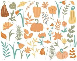 Autumn collection of herbs, grass, flowers, foliage and pumpkins vector