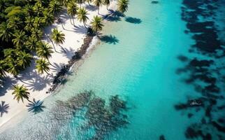 Beach with palm trees on the shore in the style of birds-eye-view. Turquoise and white plane view on beach aerial photography. photo