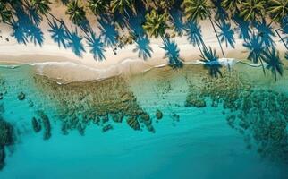 Beach with palm trees on the shore in the style of birds-eye-view. Turquoise and white plane view on beach aerial photography. photo