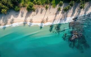 playa con palma arboles en el apuntalar en el estilo de vista panorámica. turquesa y blanco avión ver en playa aéreo fotografía. foto