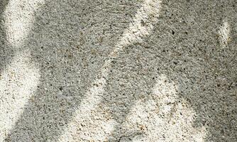 Rough Texture Cement Wall with Shadow leaves and Sunlight effect on Background,Close up shot grainy abstract texture of rendered wall with tiny rock stones,Dry Cement Rendering Surface photo