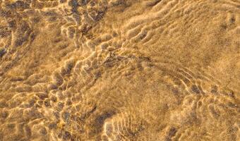 Sand texture pattern with transparent clear sea water waves reflection,Abstract Sun lights on water surface over brown sand ripples with pebble.Sea bottom background banner for Summer Beach Vocation photo