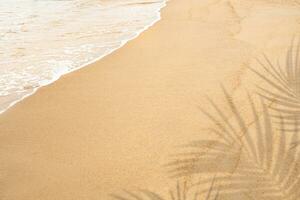 Sand beach texture background with palm leaves silhouette,Coconut leaf Shadow on Brown Sand Surface background,Backdrop Wide Horizon banner for Summer Product Presentation photo