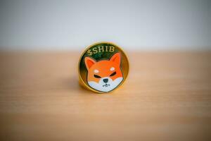 1 Shiba inu coin SHIB, it is one of the crypto tokens, close-up. photo