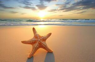 Starfish on white sand beach at sunset ocean. photo