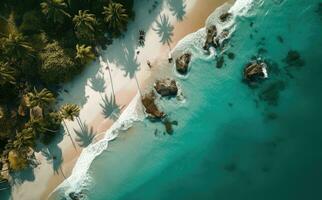 Tropical beach with palm trees from the top in low light photo