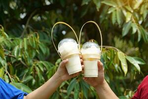 Durian smoothie on durian tree background, smoothie menu drink with durian aroma. Freshen up with ice Sweeten it from sweetened condensed milk and syrup. Good smell from fresh milk photo