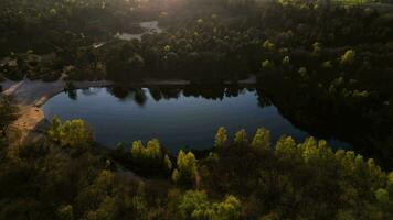 Aerial view of a lake in the forest video