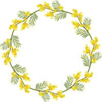 floral frame with a bouquet of yellow mimosa flowers vector