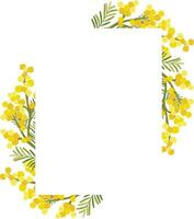 floral frame with a bouquet of yellow mimosa flowers vector