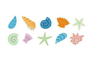 Set of sea shells and starfish. Hand drawn vector illustration in flat style.