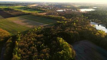 Aerial view over a field and forest video