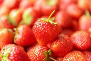 Fresh organic red strawberry fruit background photo