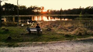 A person sitting on a bench near a lake video