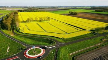 Aerial view of a road and yellow fields video