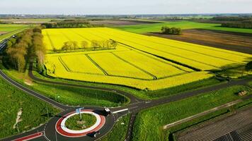 aéreo ver de un la carretera y amarillo campos video