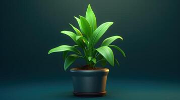 3D realistic green plant in pot on a dark background , photo