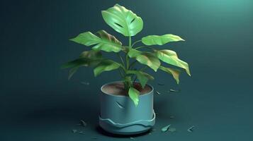 3D realistic green plant in pot on a dark background , photo