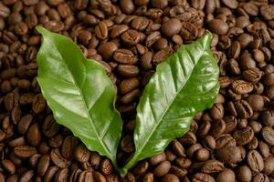 grano de café tostado medio con hoja verde fresca. foto
