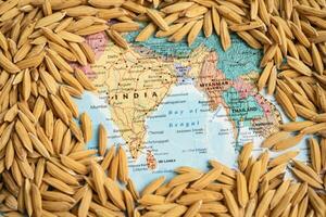 Brown rice paddy seeds on India map, India rice export ban trigger a global food crisis concept. photo