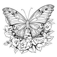 coloring pages for adults butterfly sitting on rose vector