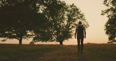 A person walking down a dirt road in the middle of a field video