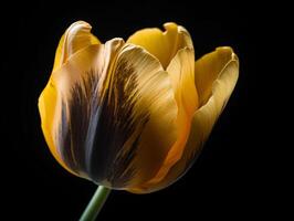 el Arte de macro fotografía - explorador el textura y color de un amarillo tulipán - ai generado foto