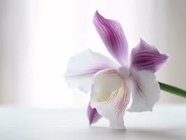 soñador deleite - un suavemente borroso todavía vida de un soltero orquídea - ai generado foto