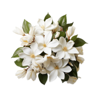 blanc fleur png ai génératif